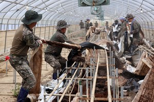 Koreans rally in flood recovery efforts